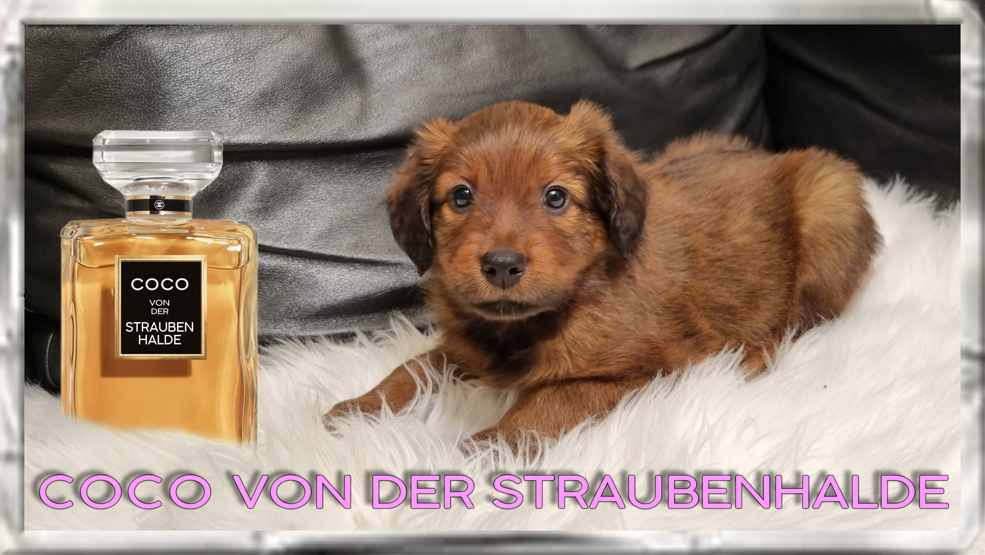 Wäller von der Straubenhalde